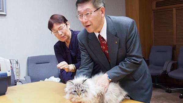 Кота, которого японскому губернатору подарил Путин, посадили на карантин из-за коронавируса - nakanune.ru - Сша - Япония