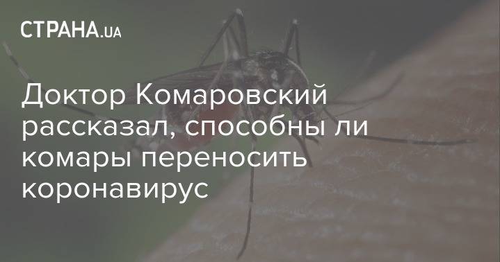 Евгений Комаровский - Доктор Комаровский рассказал, способны ли комары переносить коронавирус - strana.ua - Украина