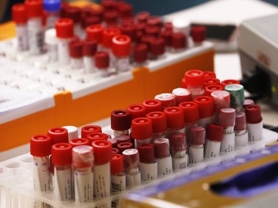 Китайские ученые выяснили, у кого вырабатывается иммунитет от коронавируса - newtvnews.ru - Китай - Чунцин