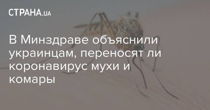 В Минздраве объяснили украинцам, переносят ли коронавирус мухи и комары - strana.ua - Минздрав