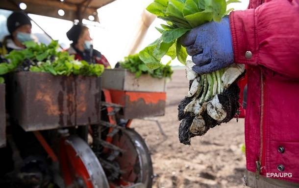 принц Чарльз - Британии не хватает рабочих рук на фермах - korrespondent.net - Англия