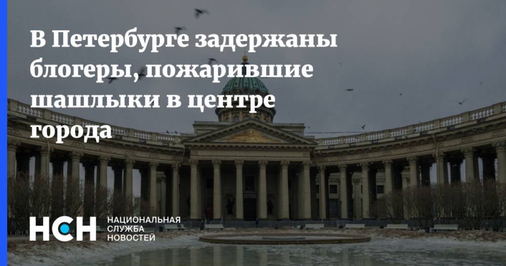 В Петербурге задержаны блогеры, пожарившие шашлыки в центре города - nsn.fm - Санкт-Петербург