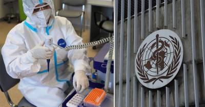 Дорит Ницан - ВОЗ: Россия оказывает огромную поддержку в борьбе с пандемией COVID-19 - ren.tv - Россия
