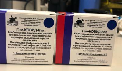Александр Гинцбург - В России произведена первая партия вакцины от коронавируса - newizv.ru - Россия - Зеленоград