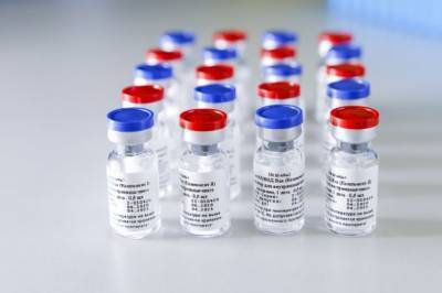 Бразилия будет производить вакцину «Спутник V» с 15 января - eadaily.com - Россия - Бразилия - Сан-Паулу - Бразилиа