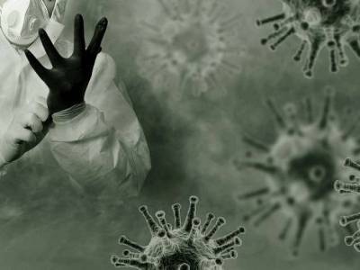 Названы главные виновники пандемии коронавируса - rosbalt.ru - Китай - Швейцария - Новая Зеландия - Либерия
