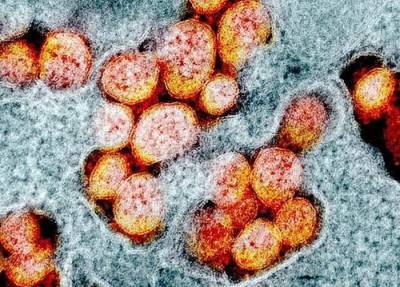 Китайские врачи описали повторное заражение коронавирусом пациентов с антителами - argumenti.ru