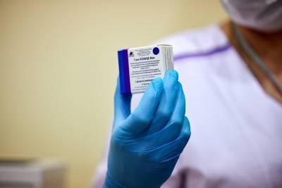 В Минздраве ДНР заявили о получении партии российской вакцины от коронавируса - m24.ru - Украина - Днр - Донецк - Горловка - Макеевка