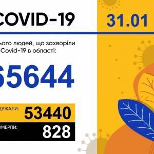 За сутки в Запорожской области подтвердили 56 новых случаев COVID-19 - reporter-ua.com - Запорожская обл. - Запорожье