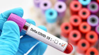 Сирил Коэн - "Дельта++": появился новый штамм коронавируса. Опасен ли он для Израиля - vesty.co.il - Англия - Израиль