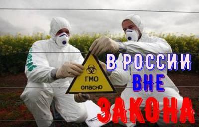ГМО в России вне Закона - argumenti.ru - Россия