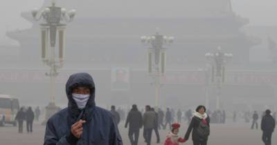 В Китае зафиксировали новый штамм птичьего гриппа с высокой летальностью - dsnews.ua - Китай
