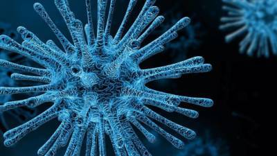 Мансух Мандавия - Новый штамм коронавируса выявили в Индии - inforeactor.ru - Индия