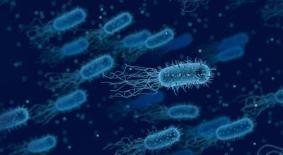 Прорыв в медицине: Ученые наконец выяснили, как пенициллин убивает бактерии и мира - cursorinfo.co.il