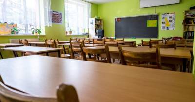 Анита Муйжниеце - Минобразования предлагает ввести в школах "неделю удаленки" - rus.delfi.lv - Латвия