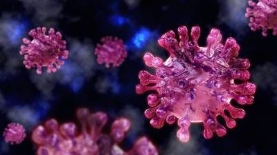 Разведка США оценила версию о появлении коронавируса как биологического оружия - 5-tv.ru - Сша - Китай