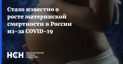 Роман Шмаков - Стало известно о росте материнской смертности в России из-за COVID-19 - nsn.fm - Россия