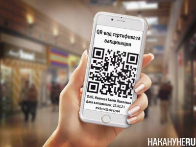 Эксперты предупредили о возможном росте торговли QR-кодами в случае их широкого применения - nakanune.ru