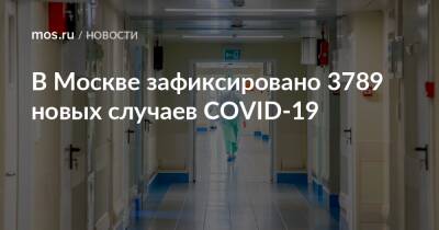 В Москве зафиксировано 3789 новых случаев COVID-19 - mos.ru - Москва
