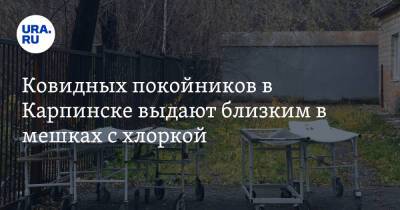 Ковидных покойников в Карпинске выдают близким в мешках с хлоркой - ura.news - Россия - Карпинск