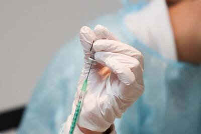 Ученые из США разрабатывают вакцину против клещей и мира - cursorinfo.co.il - Сша