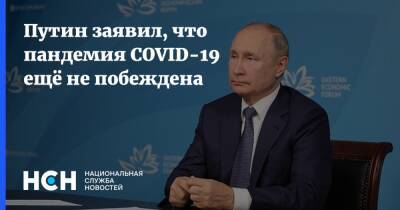 Владимир Путин - Путин заявил, что пандемия COVID-19 ещё не побеждена - nsn.fm - Россия