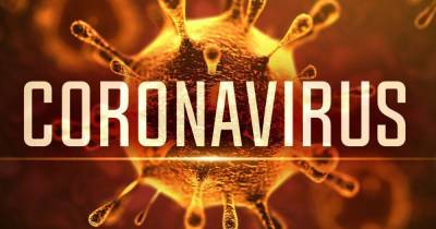 В ОРДО коронавирусом заразились почти две тысячи человек: более сотни скончались - dsnews.ua - Днр