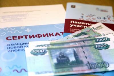 Штрафы за объявления о продаже поддельных справок могут достичь 5 млн руб. - aif.ru - Россия