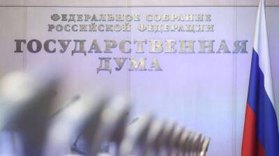 Госдума не будет рассматривать законопроекты о QR-кодах в декабре - vm.ru - Россия