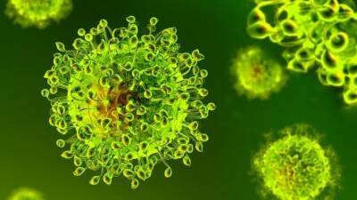 ВОЗ изучит воздействие нового штамма коронавируса на вакцины - 5-tv.ru - Юар