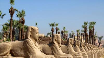 В Египте открыли крупнейший музей под открытым небом в мире - ru.slovoidilo.ua - Украина - Египет