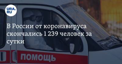 В России от коронавируса скончались 1 239 человек за сутки - ura.news - Россия - Санкт-Петербург - Москва - Московская обл.