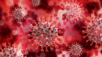 В Великобритании, Германии и Италии выявлены случаи заражения омикрон-штаммом коронавируса - dialog.tj - Англия - Италия - Германия - Юар - Мюнхен