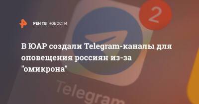 В ЮАР создали Telegram-каналы для оповещения россиян из-за "омикрона" - ren.tv - Россия - Юар