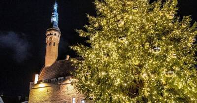 ФОТО. Завидуем молча: В Таллине заработал рождественский рынок и зажглась новогодняя елка - rus.delfi.lv - Эстония - Латвия - Таллин
