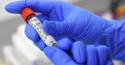 В Москве ученые разработали тест на фальшивые сертификаты о вакцинации - moslenta.ru - Москва