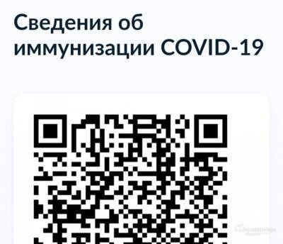 Липецкая прокуратура заблокировала два сайта с поддельными QR-кодами - lipetskmedia.ru - Липецк