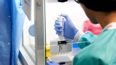 Учёные в США обнаружили коронавирус у оленей - russian.rt.com - Сша - штат Пенсильвания - штат Айова