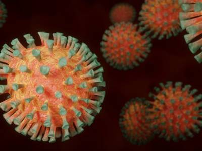Коронавирусной инфекцией в мире заболело более 250 млн человек - unn.com.ua - Украина - Сша - Индия - Киев - Бразилия