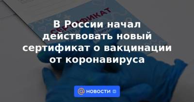 В России начал действовать новый сертификат о вакцинации от коронавируса - news.mail.ru - Россия