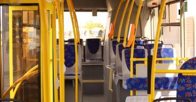 В Закарпатье пассажирам автобусов продавали поддельные экспресс-тесты на COVID-19 - dsnews.ua