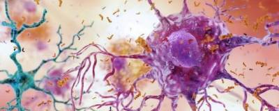 Science Advances: в иммунных клетках мозга есть ген ABI3, связанный с болезнью Альцгеймера - runews24.ru - штат Индиана