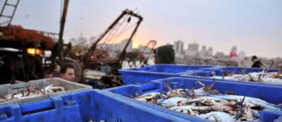 Россия осталась без главного импортера морепродуктов, потеряв в течение года $838 млн - runews24.ru - Россия - Китай