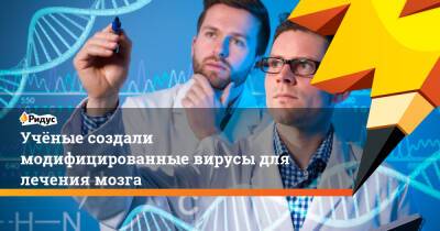 Учёные создали модифицированные вирусы для лечения мозга - ridus.ru