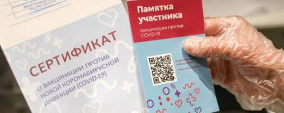 Татьяна Голикова - Жители России с антителами смогут получить COVID-сертификат - runews24.ru - Россия