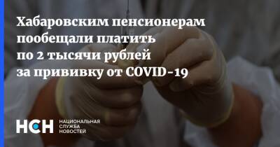 Михаил Дегтярев - Хабаровским пенсионерам пообещали платить по 2 тысячи рублей за прививку от COVID-19 - nsn.fm - Хабаровский край