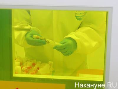 В Центре Гамалеи рассказали детали разработки химиотерапии от коронавируса - nakanune.ru - Covid-19