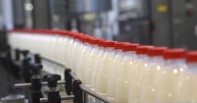 В Японии тонны молока выльют в канализацию из-за падения спроса - focus.ua - Украина - Япония
