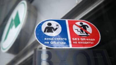 Законопроект о QR-кодах в общественных местах не затронет аптеки и магазины - 5-tv.ru