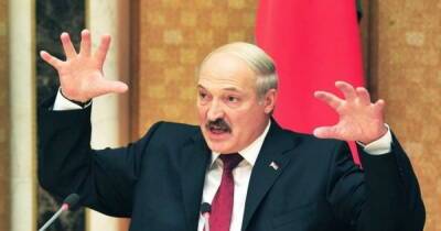 Александр Лукашенко - "Раздевайся и работай": в Беларуси начали торговать мерчем от Лукашенко (ФОТО) - dsnews.ua - Белоруссия